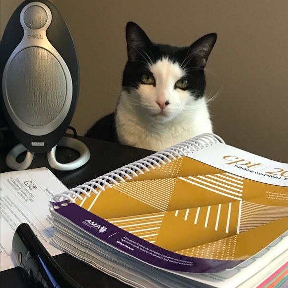 Meet your Posher, Posh - Picture 4 of 6